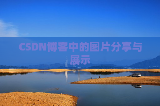 CSDN博客中的图片分享与展示